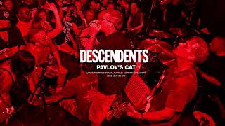 Descendents  quotPavlovs Catquot [upl. by Pohsib]