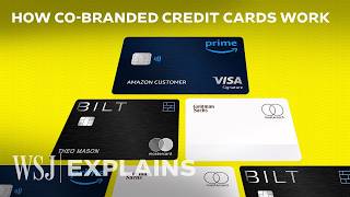 Why Banks Bet Big on Risky Credit Card Partnerships  WSJ [upl. by Gebhardt]