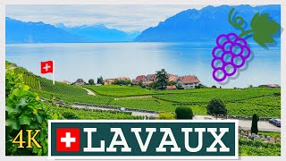 Lavaux Vineyards VD Switzerland 4K [upl. by Hametaf]