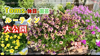 「休日の園芸」普段やってる作業をお見せします🤣園芸Youtuberの日常作業 裏技部分は強烈すぎるので絶対に「自己判断」で！お願いします [upl. by Etnomal]