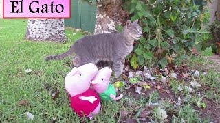 Peppa Pig George quiere un gato 🐈 Vídeos de Peppa Pig en español [upl. by Nelac]