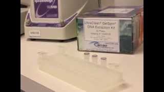 UltraClean GelSpin DNA Extraction Kit Visual Protocol [upl. by Cerelia674]