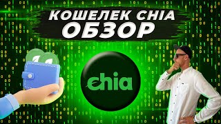 Кошелек Chia  Детальный обзор хранение XCH [upl. by Yetnruoc518]