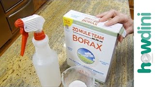 How to Kill Mold with Borax [upl. by Hluchy650]