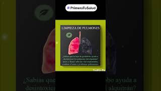 Hoja del gordolobo ayuda a desintoxicar los pulmones PrimeroTuSalud [upl. by Dianna]