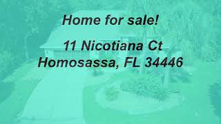 11 Nicotiana Ct Homosassa FL 34446 branded [upl. by Hanshaw]