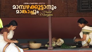 quotKerala Mango Recipesquot മാമ്പഴക്കൂട്ടാൻ  മാങ്കാച്ച്  മാങ്ങാച്ചമ്മന്തി  Traditional Life At ILLAM [upl. by Berck]