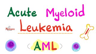 Acute Myeloid Leukemia AML  Auer Rods  Myeloperoxidase Positive  Hematology amp Oncology Series [upl. by Ruamaj]