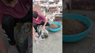 Planting More Winter Flowering Plants on my Terrace 😄🫶🌸 [upl. by Rebeh]