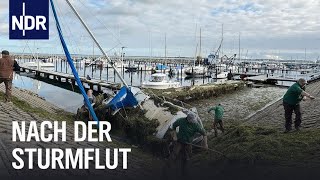 SchleswigHolstein Nach der JahrhundertSturmflut  Die Nordreportage  NDR Doku [upl. by Hehre962]