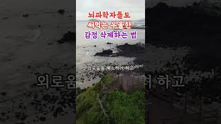 🤦🏻‍♂️뇌과학자들도 써먹는 우울한 감정 삭제하는 법인생명언 지혜 좋은글 인생한줄 [upl. by Annoyed]