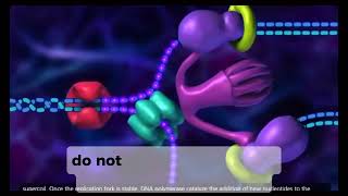 Biology XII  Process of DNA Replication in urdu foryou viralvideo [upl. by Kathryne955]