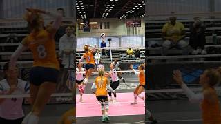 Alia Schoonover and Mintonette 161 volleyball shorts sports volleyballworld [upl. by Ubana]