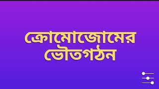 Chromosome Structure ক্রোমোজোমের ভৌত গঠন in Bengali [upl. by Aned931]