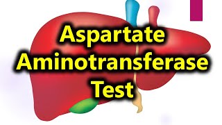 AST test  Aspartate aminotransferase test  liver function test [upl. by Adnilec]