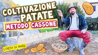 Patate  coltivazione con METODO CASSONE RIALZATO per una maggiore produzione [upl. by Sunev336]