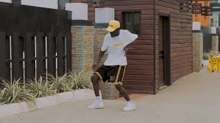 Tekno  Mufasa Official Dance Video by Realcesh [upl. by Fredella914]