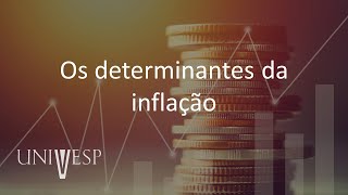 Teoria Econômica e Economia Digital  Os determinantes da inflação [upl. by Anthea]