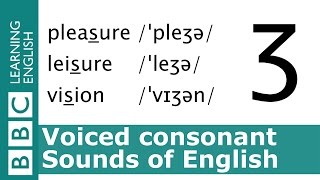 English Pronunciation 👄 Voiced Consonant  ʒ  pleasure leisure and vision [upl. by Hanus52]