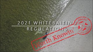 2021 Whitebaiting Regulations  Worth Knowin [upl. by Amsab]