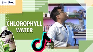 Chlorophyll Water BEFORE and AFTER  Drinking Liquid Chlorophyll For a Week BEST RESULTS amp BENEFITS [upl. by Jeremie]