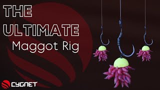 How To Tie A Maggot Rig For Carp  Wafter Maggot Rigs  Winter Carp Fishing [upl. by Kcirdehs920]