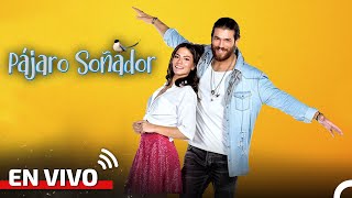 Pájaro Soñador Todos Los Capítulos 724 envivo [upl. by Yarazed]