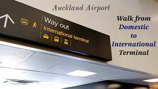 Auckland Airport Walk between Terminals ‖ Domestic to International [upl. by Ilajna]