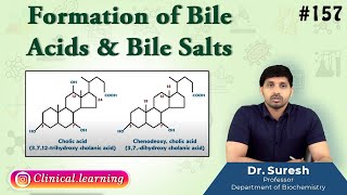 157 Formation of Bile Acids amp Bile Salts [upl. by Ellah]