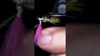 shorts new crazy CDC caddis flytying catchandrelease tightlines [upl. by Niamert]