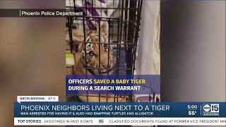 Man arrested by Phoenix police for trying to sell a tiger cub online [upl. by Courcy957]