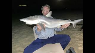 Fishing shark at Cape Verde Boavista 2022 [upl. by Annahtur]