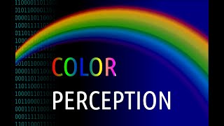 Color perception  color vision [upl. by Uzziel]