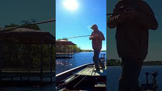 Skipping Jigs and Catching Pigs 🐷 jigfishing dockfishing bassfishing [upl. by Ylevol]