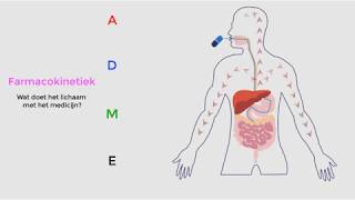 Wat doet het lichaam met een geneesmiddel Farmacokinetiek [upl. by Shannan]