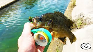 Fishing a Tiny Ditch  Rodless Reel  Survivor Series [upl. by Nita]