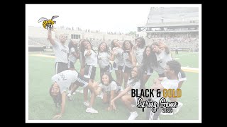 Alabama State University Cheerleaders [upl. by Ernst696]