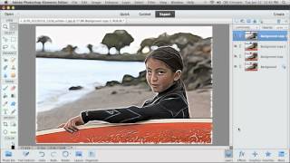 Photoshop Elements 11 Filter Effects [upl. by Irolav]