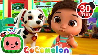 What Does a Dogs Woof Mean Ninas Pet Store Song  CoComelon  Nursery Rhymes for Babies [upl. by Cloutman94]