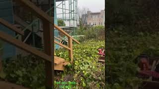 General yard cleaning RICHMOND DISTRICTSAN FRANCISCO CA [upl. by Frierson]