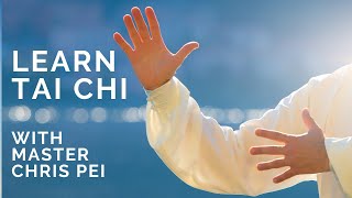 Tai Chi for Beginners  Best Instructional Video for Learning Tai Chi [upl. by Hardigg]