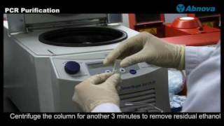 PCR Purification [upl. by Aiblis]