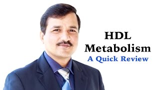 Metabolism of HDL  A Quick Review [upl. by Laehpar206]