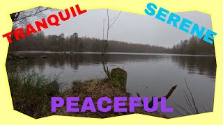 quotLakes and Fells Caravan Site And A Walk To High Dam Tarnquot [upl. by Nnyltiak436]