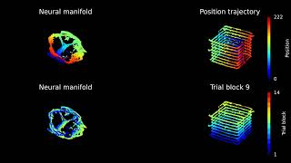 Manifold unsupervised [upl. by Leon91]