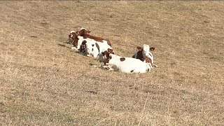 Agriculture  comment échapper à lasphyxie  Un débat DimPolBFC [upl. by Ayekahs]