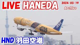 🔴LIVE at TOKYO HANEDA International Airport Plane Spotting 20240319 羽田空港ライブカメラ 羽田空港 HNDRJTT C滑走路 [upl. by Ahsinet]