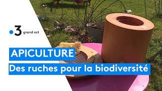 Apiculture  des ruches comme dans la nature pour préserver la biodiversité [upl. by Trutko]