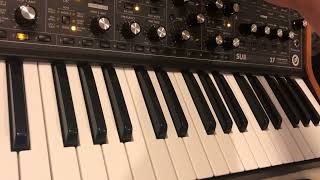 Moog Subsequent 37  Peaceful Arp [upl. by Rebekah907]