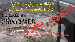 متعة صيد الشرن بلاتوش والحصيلة وفيرة جدا la peche du chinchard [upl. by Morgen]